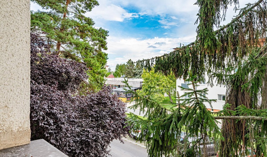 Pronájem bytu 3+1 74 m², Roztoky – náhled fotky 14