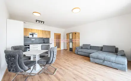 Pronájem bytu 1+kk 45 m²