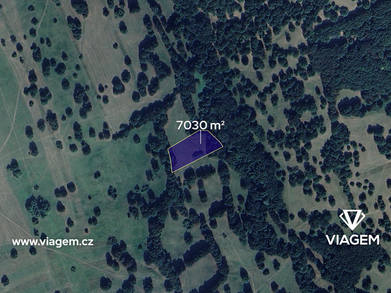 Prodej pole 7 030 m² – fotografie 2