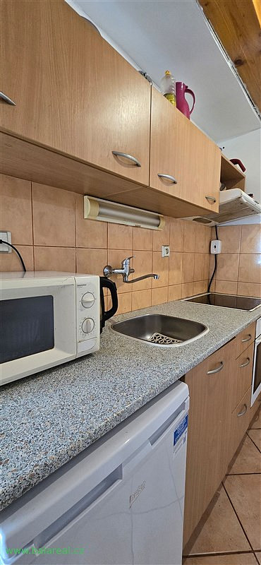 Pronájem bytu 1+kk 25 m² — photo 3