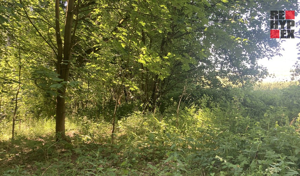 Prodej pole 3 130 m², Lomnice nad Popelkou – náhled fotky 4