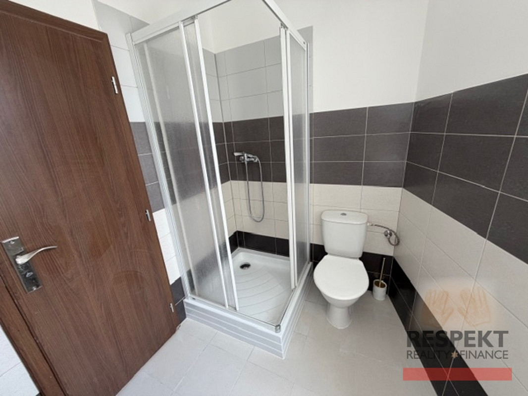 Pronájem bytu 1+kk 33 m² — photo 4