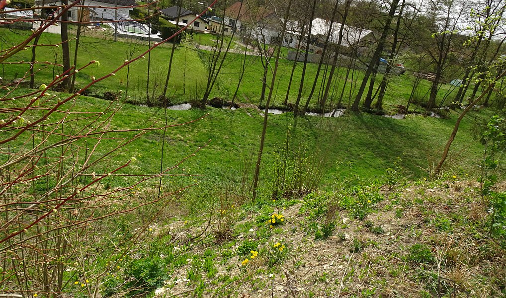 Prodej pozemku 5 086 m², Kvasiny – náhled fotky 5