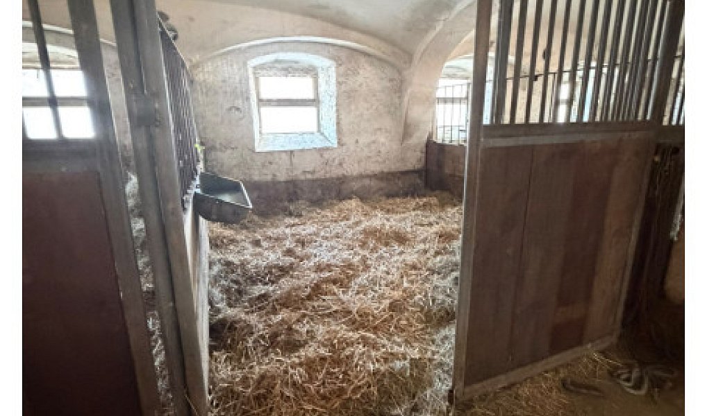 Prodej zemědělského objektu 300 m², Varnsdorf – náhled fotky 22