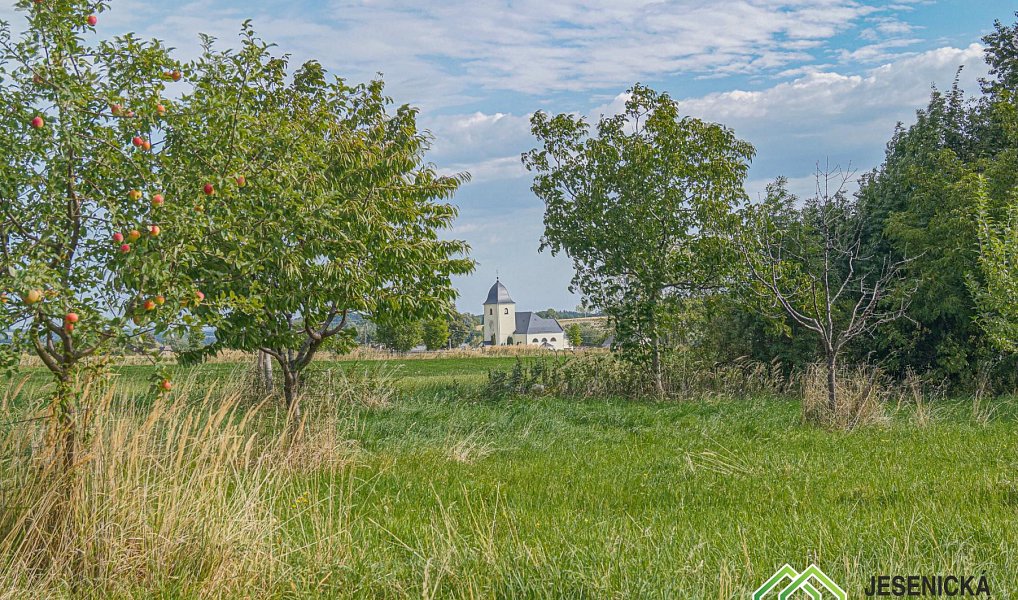 Prodej pole 16 809 m², Velké Kunětice – náhled fotky 15