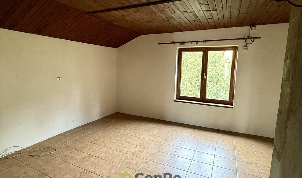 Prodej domu 297 m² s pozemkem 2 452 m², Provodín – náhled fotky 10