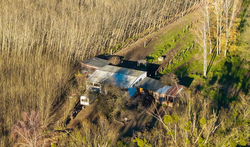 Pronájem komerčního pozemku 22 800 m², Markvartovice – náhled fotky 14