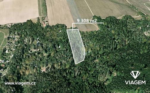 Prodej lesa 9 308 m², Chyňava, okres Beroun