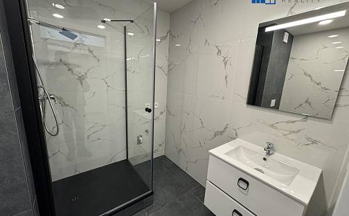 Prodej bytu 2+kk 47 m², Arbesova, Teplice - Trnovany