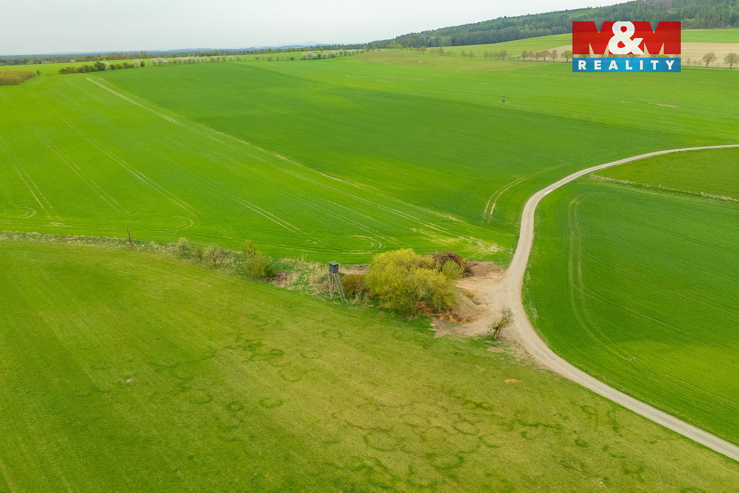 Prodej louky 730 m² — photo 4