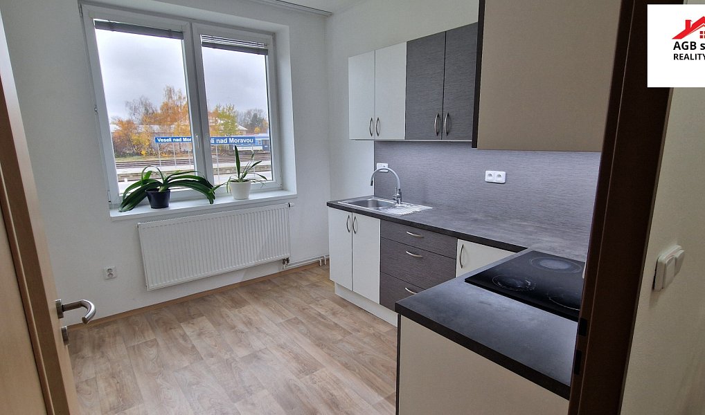 Pronájem bytu 1+1, 42 m², Hodonín, Veselí nad Moravou