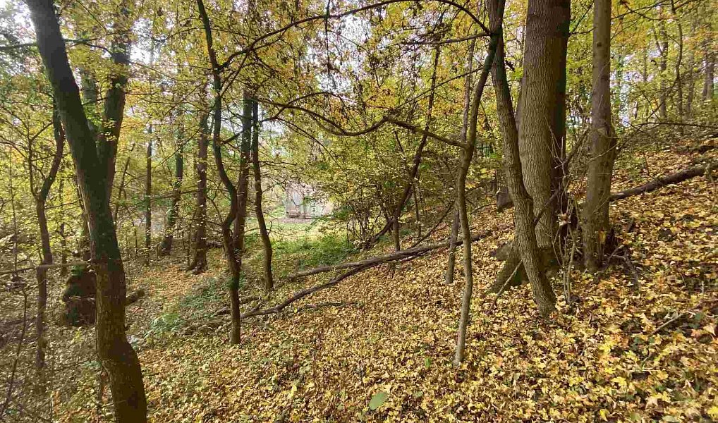 Prodej pozemku 2 639 m², Svijany – náhled fotky 2