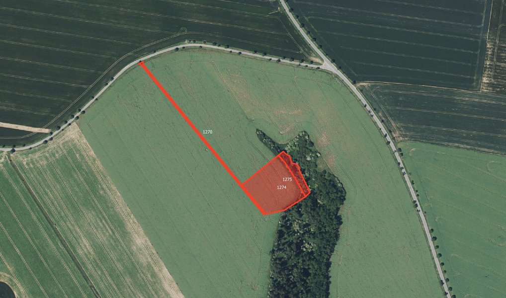 Prodej pole 17 218 m², Chorušice – náhled fotky 4