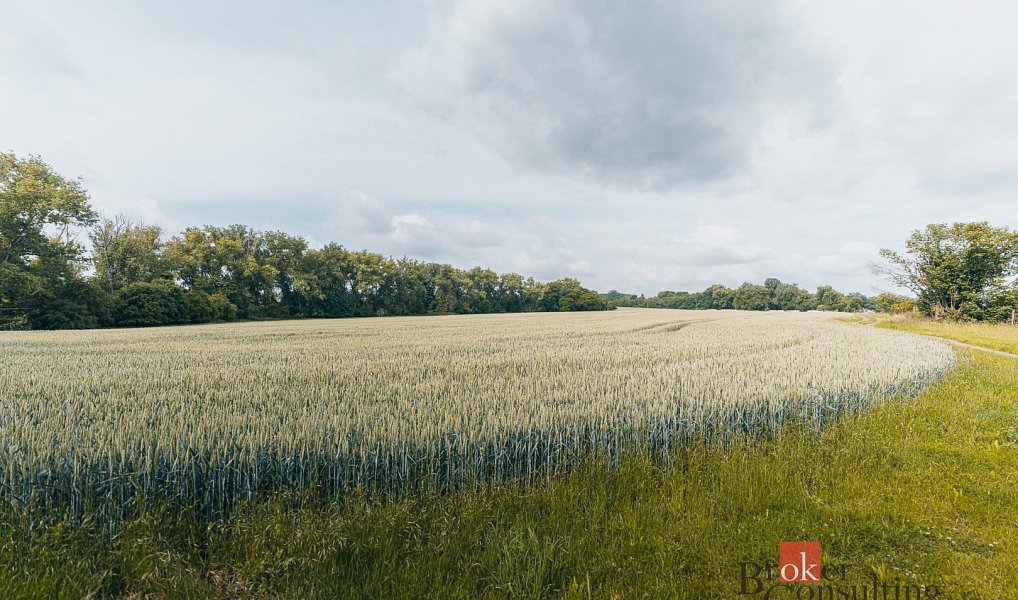 Prodej stavebního pozemku 2 208 m², Nesuchyně – náhled fotky 8
