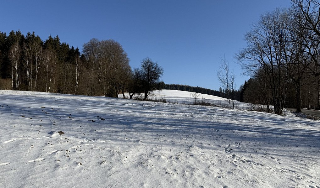 Prodej chaty/chalupy 200 m² s pozemkem 11 151 m², Sněžné – náhled fotky 8