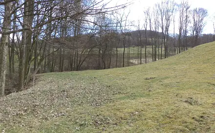Prodej pole 4 633 m², Heřmanov - Fojtovice, okres Děčín