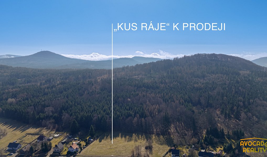 Prodej stavebního pozemku 3 162 m², Rybniště – náhled fotky 2