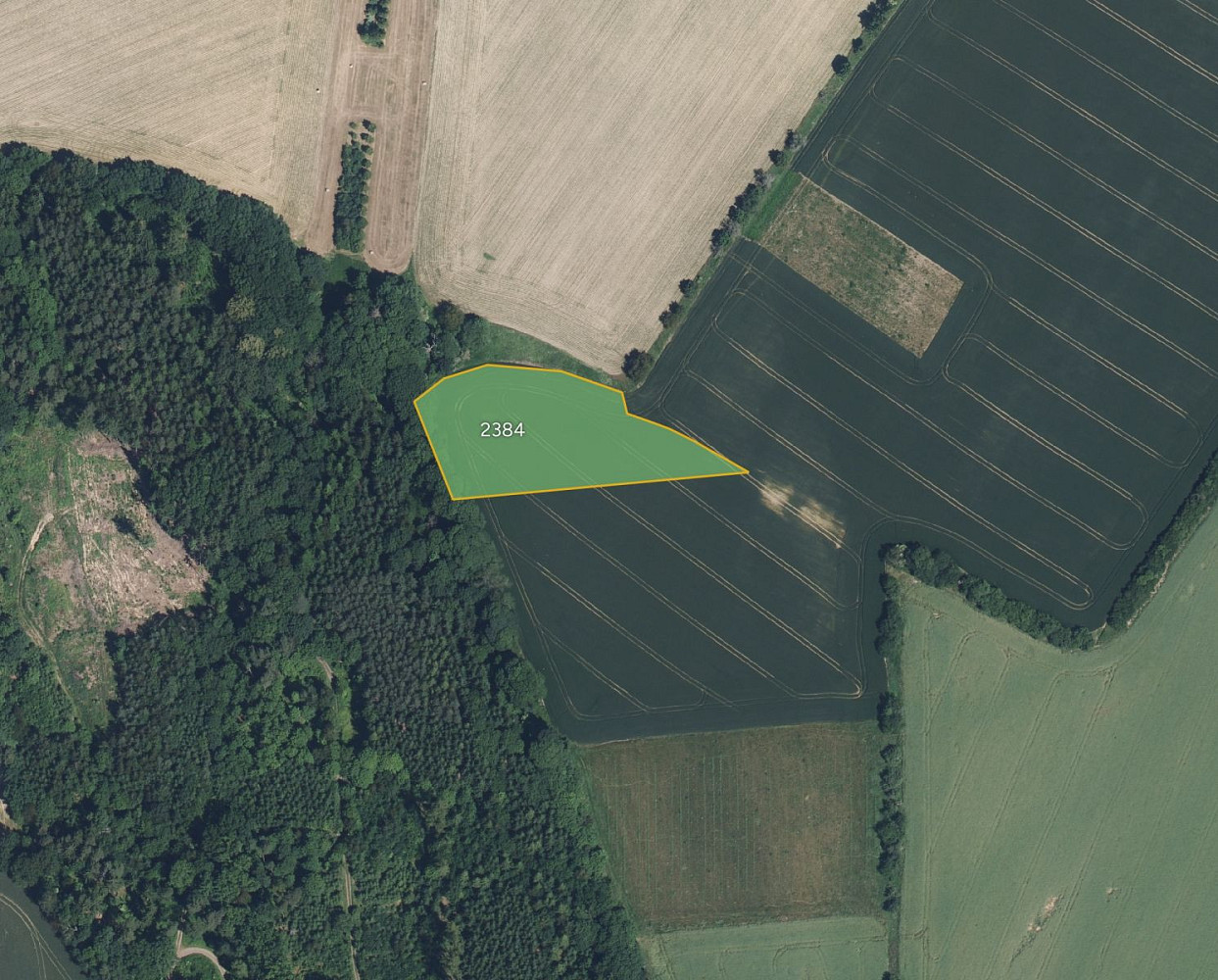 Prodej pole 6 371 m²