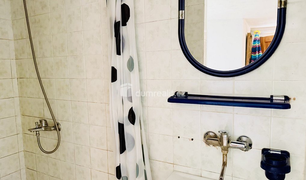 Prodej chaty/chalupy 75 m², Vlastějovice – náhled fotky 9