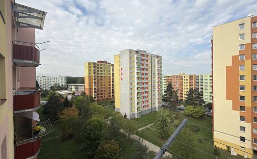 Prodej bytu 4+1 67 m², M. Chlajna, České Budějovice - České Budějovice 2