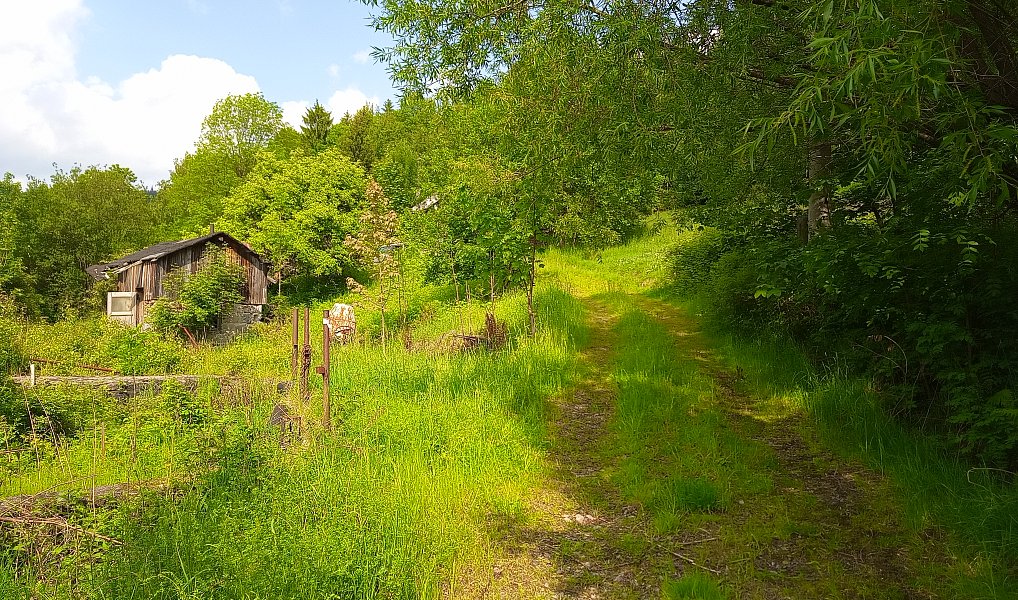 Prodej stavebního pozemku 2 111 m², Desná – náhled fotky 5