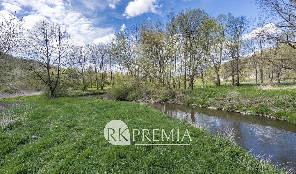 Prodej zahrady 4 353 m², Bžany – náhled fotky 10