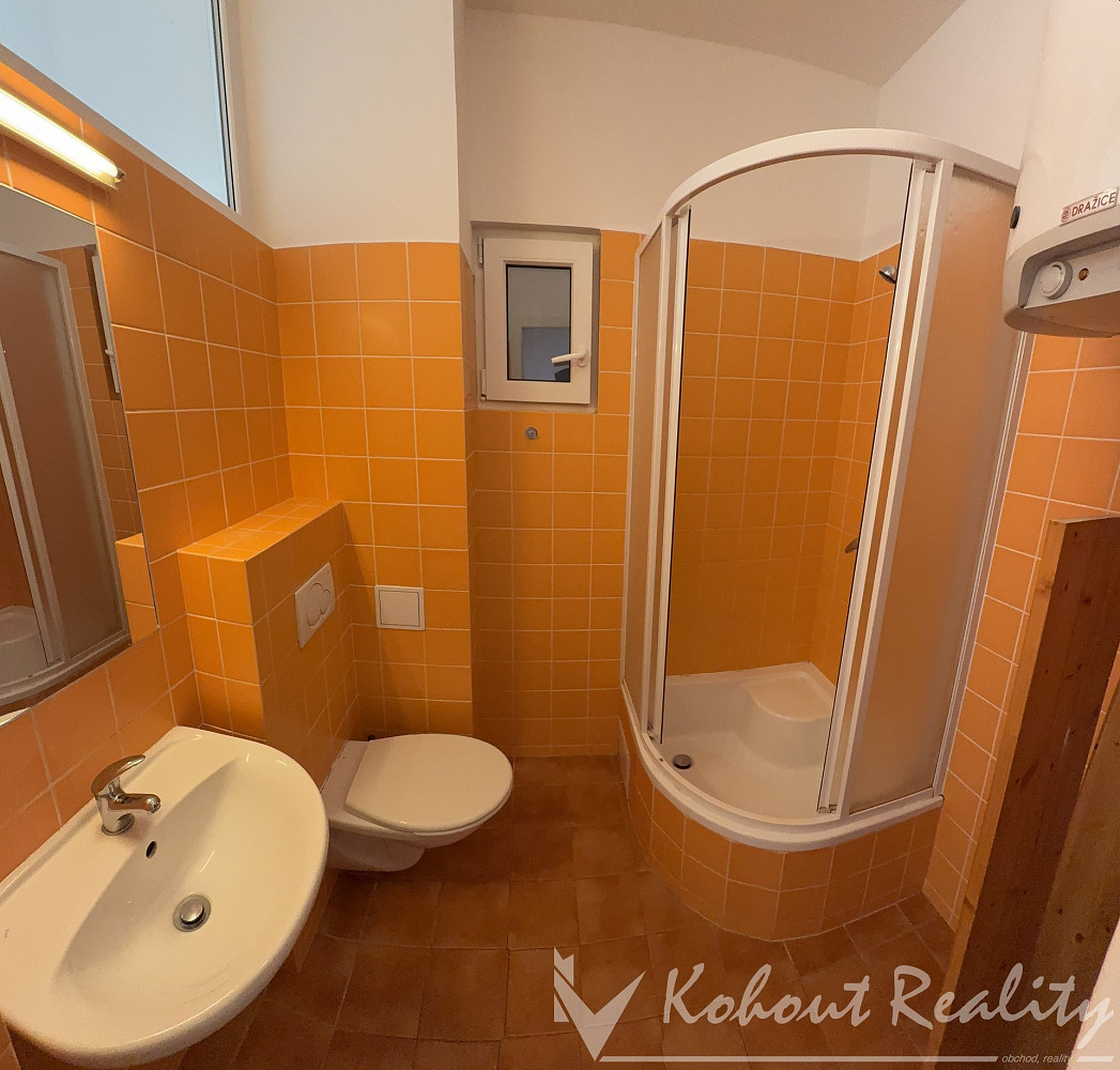 Pronájem bytu 1+kk 31 m² — photo 4