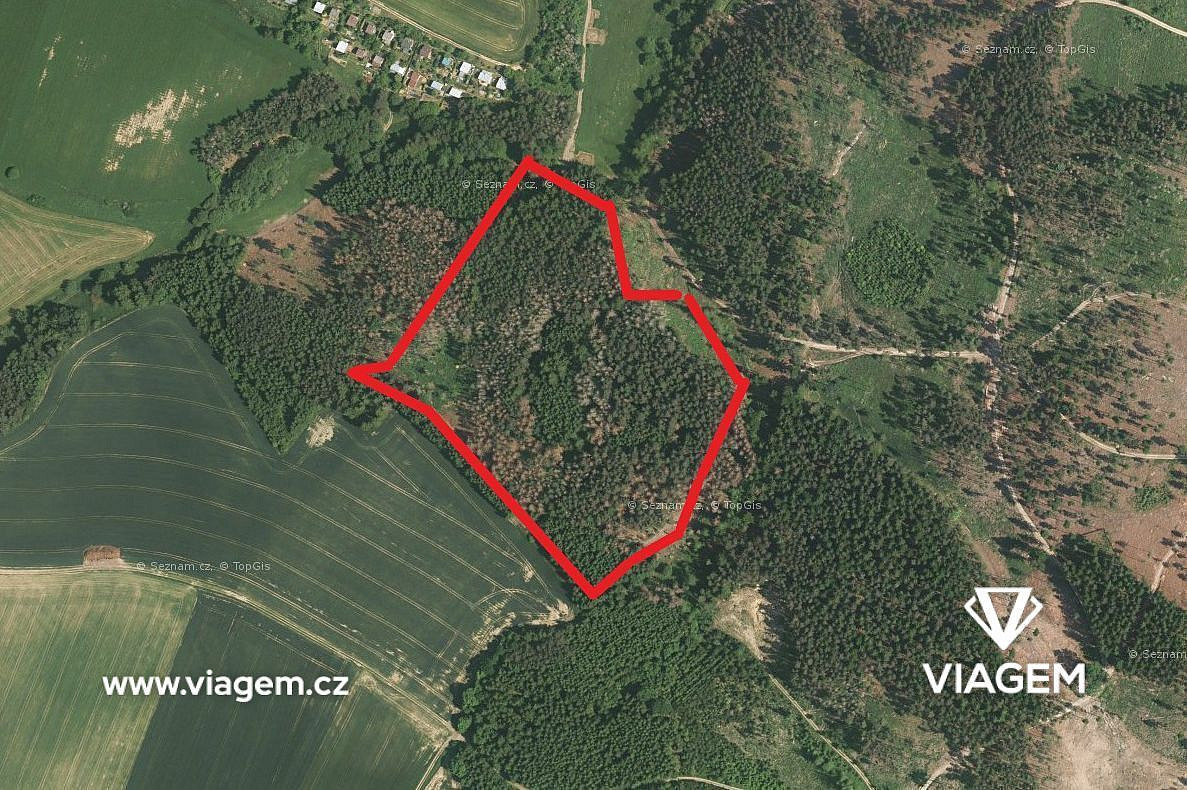 Prodej lesa 3 762 m²