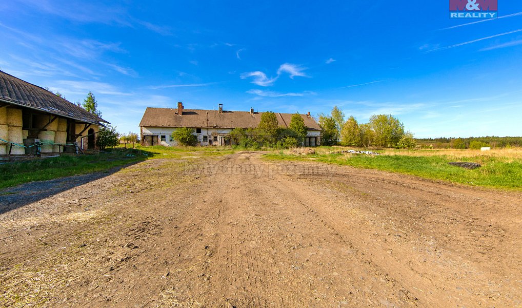 Prodej zemědělského objektu 4 026 m², Černovice – náhled fotky 8