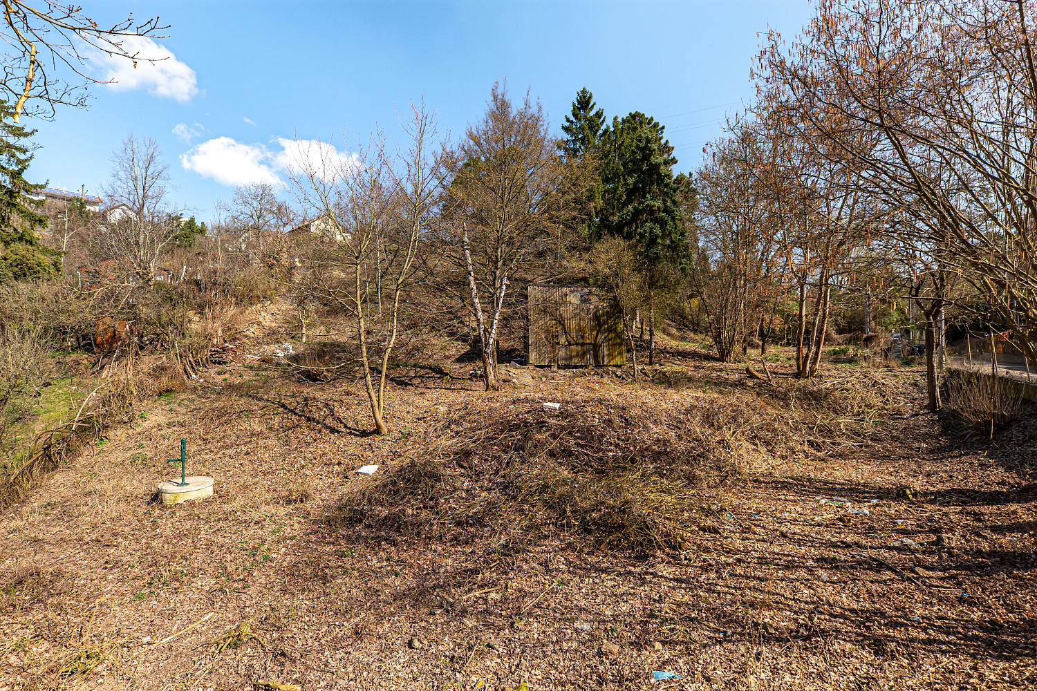 Prodej stavebního pozemku 2 902 m² – fotografie 5