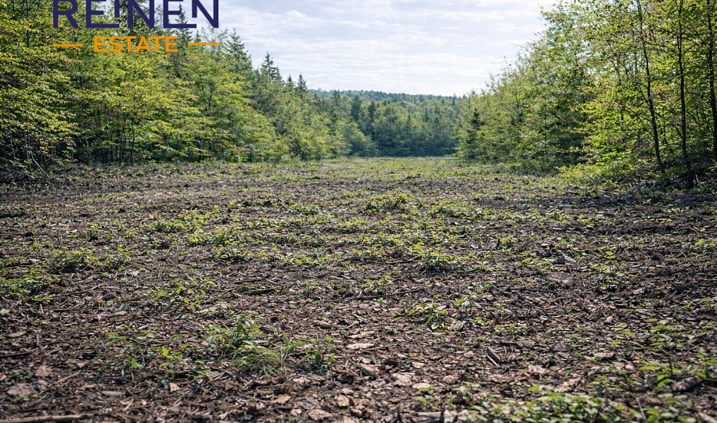 Prodej lesa 14 554 m², Křelovice – fotka 1 z 3