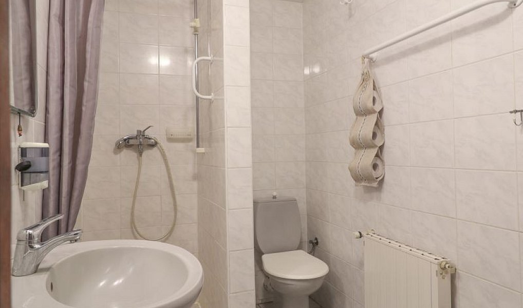 Prodej ubytovacího objektu 550 m², Kašperské Hory – náhled fotky 18