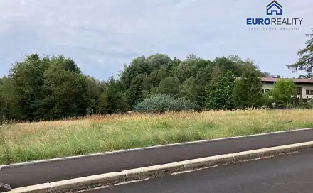 Prodej stavebního pozemku 3 927 m², Aš, okres Cheb