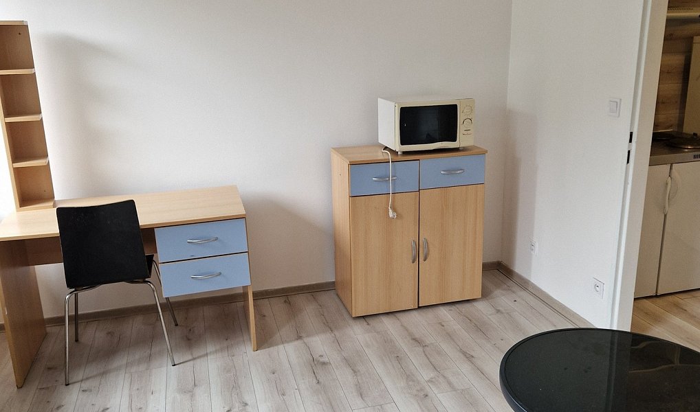 Prodej bytu 1+kk 23 m², Brno – náhled fotky 3