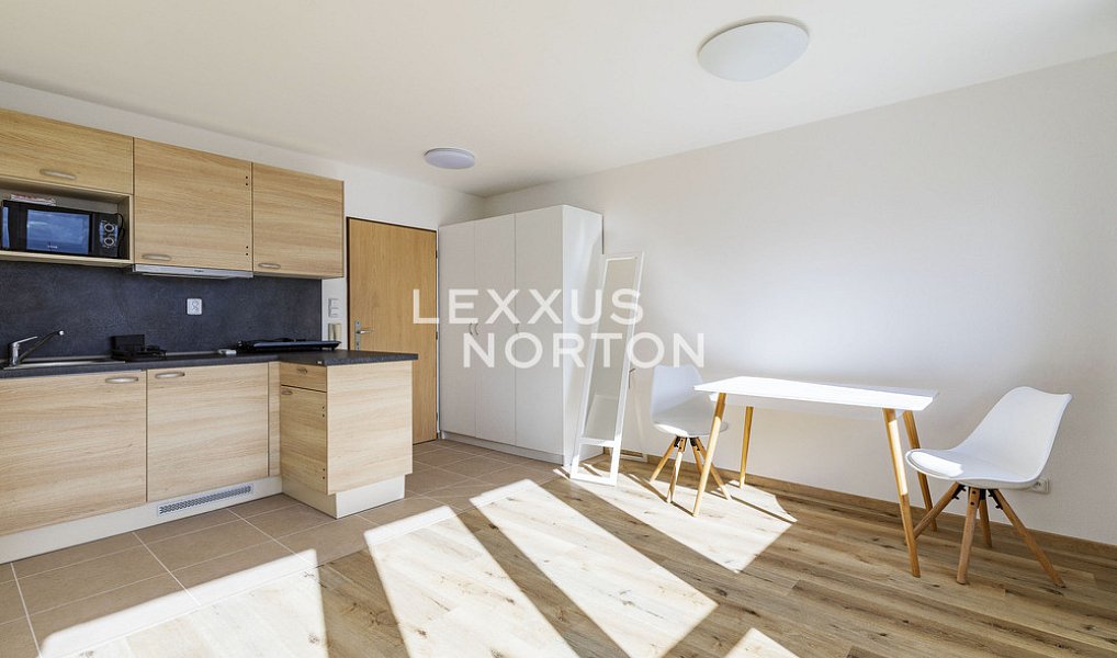 Pronájem bytu 1+kk 35 m², Praha – náhled fotky 7