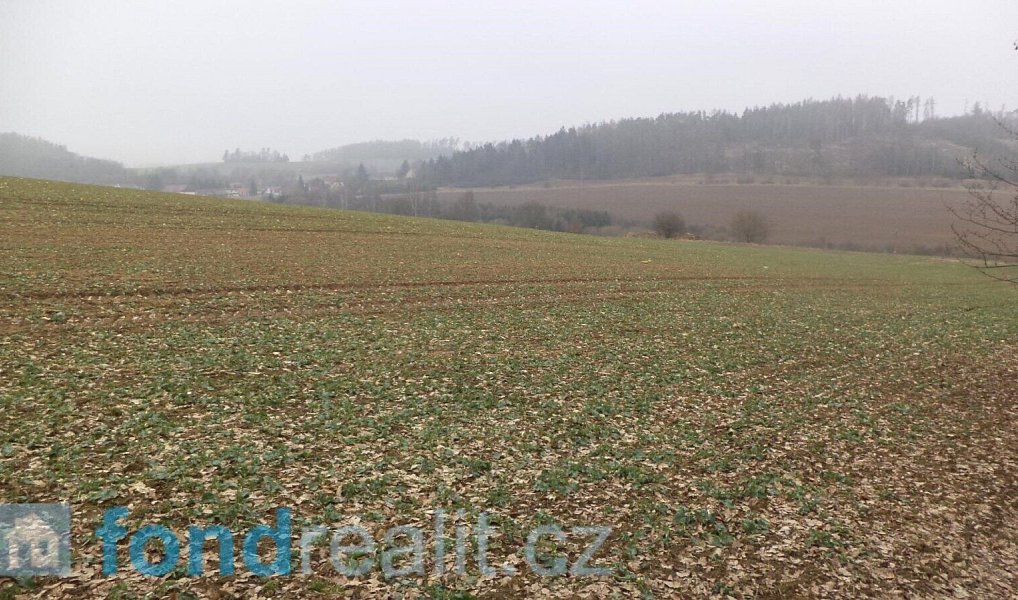 Prodej pole 41 964 m², Zvěstov – náhled fotky 6