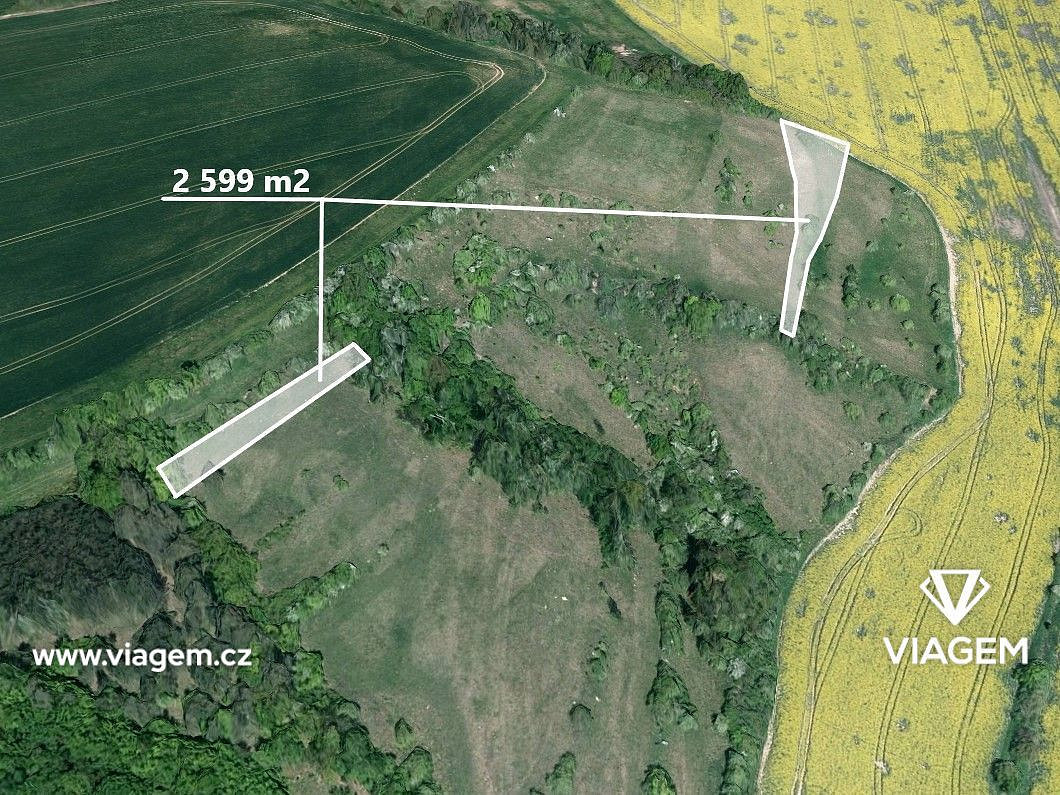 Prodej pole 1 299 m² – fotografie 4