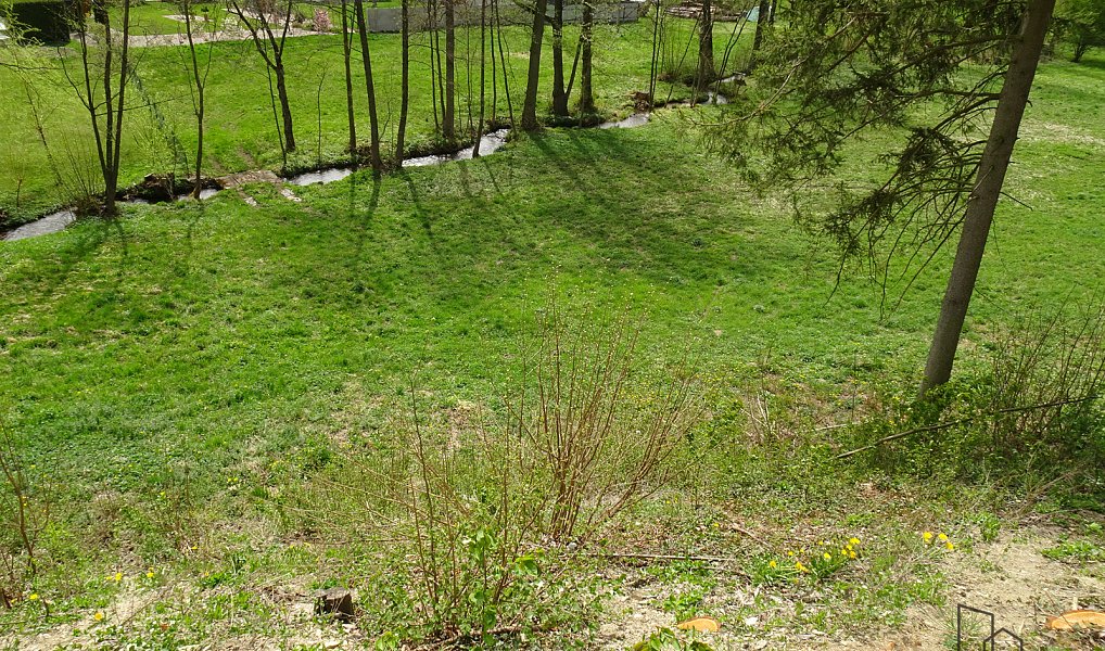 Prodej pozemku 5 086 m², Kvasiny – náhled fotky 8
