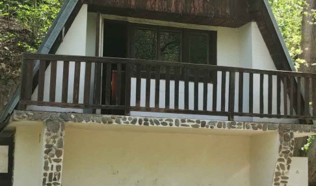 Prodej chaty/chalupy 45 m² s pozemkem 29 m², Plasy – náhled fotky 2