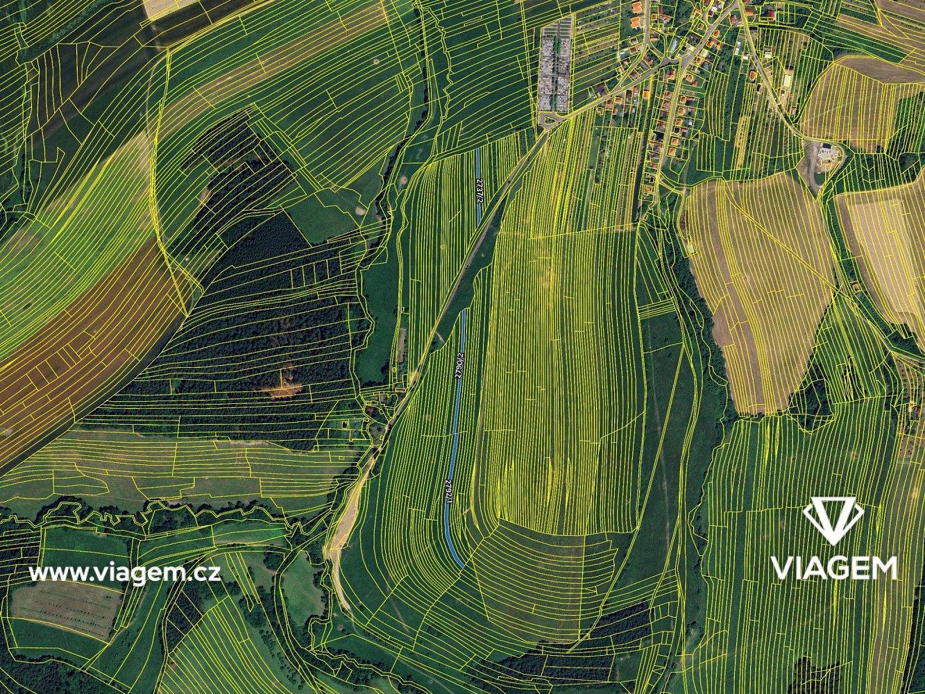 Prodej pole 600 m² – fotografie 4