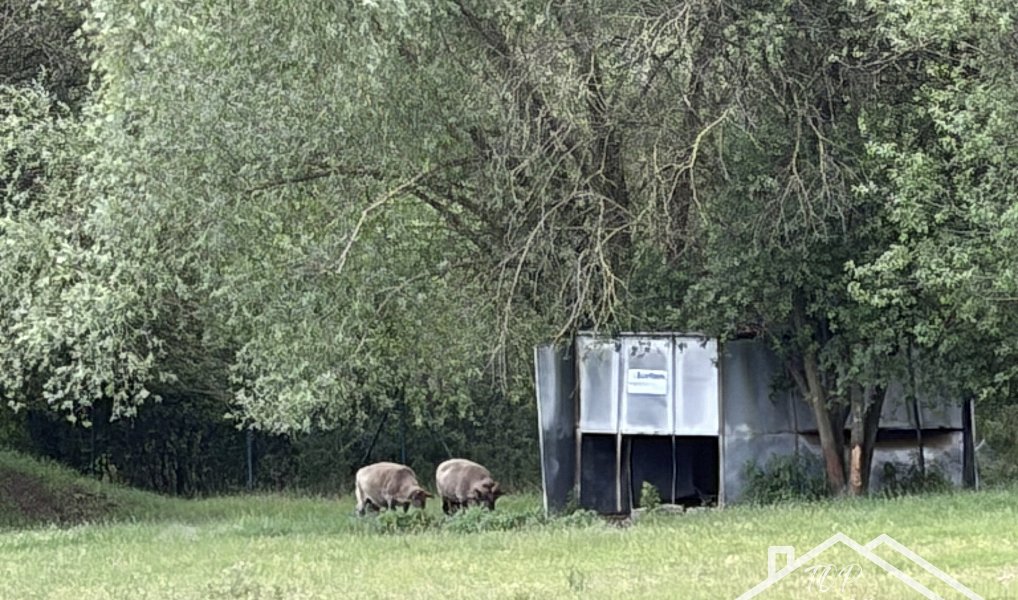 Prodej komerčního pozemku 4 430 m², Benátky nad Jizerou – náhled fotky 6
