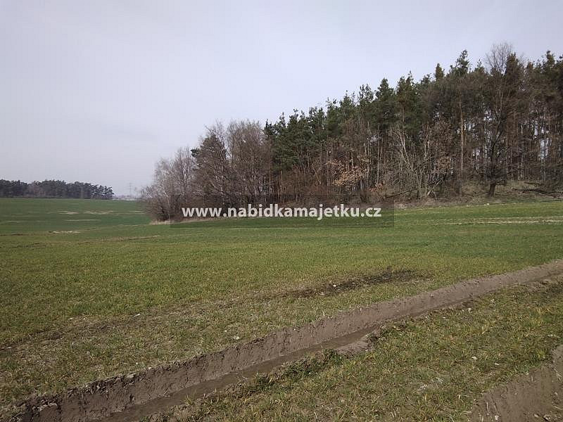 Prodej pozemku 1 716 m²