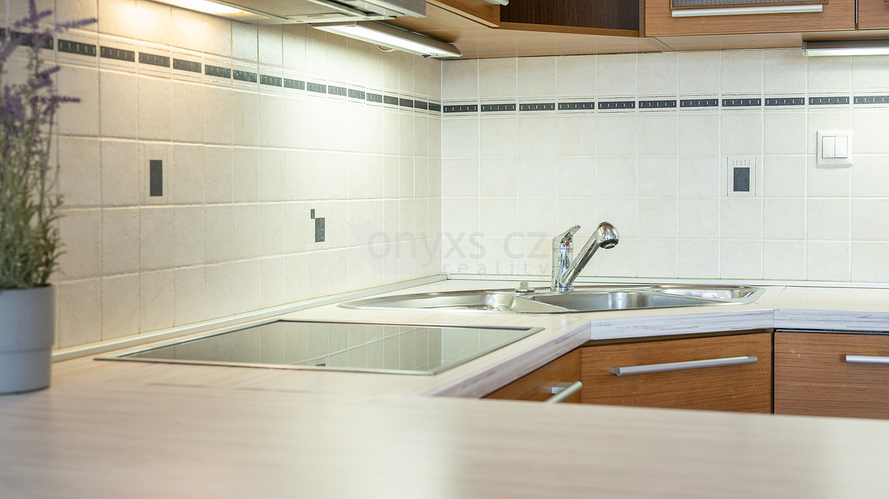 Pronájem bytu 1+kk 45 m² – pohled 5
