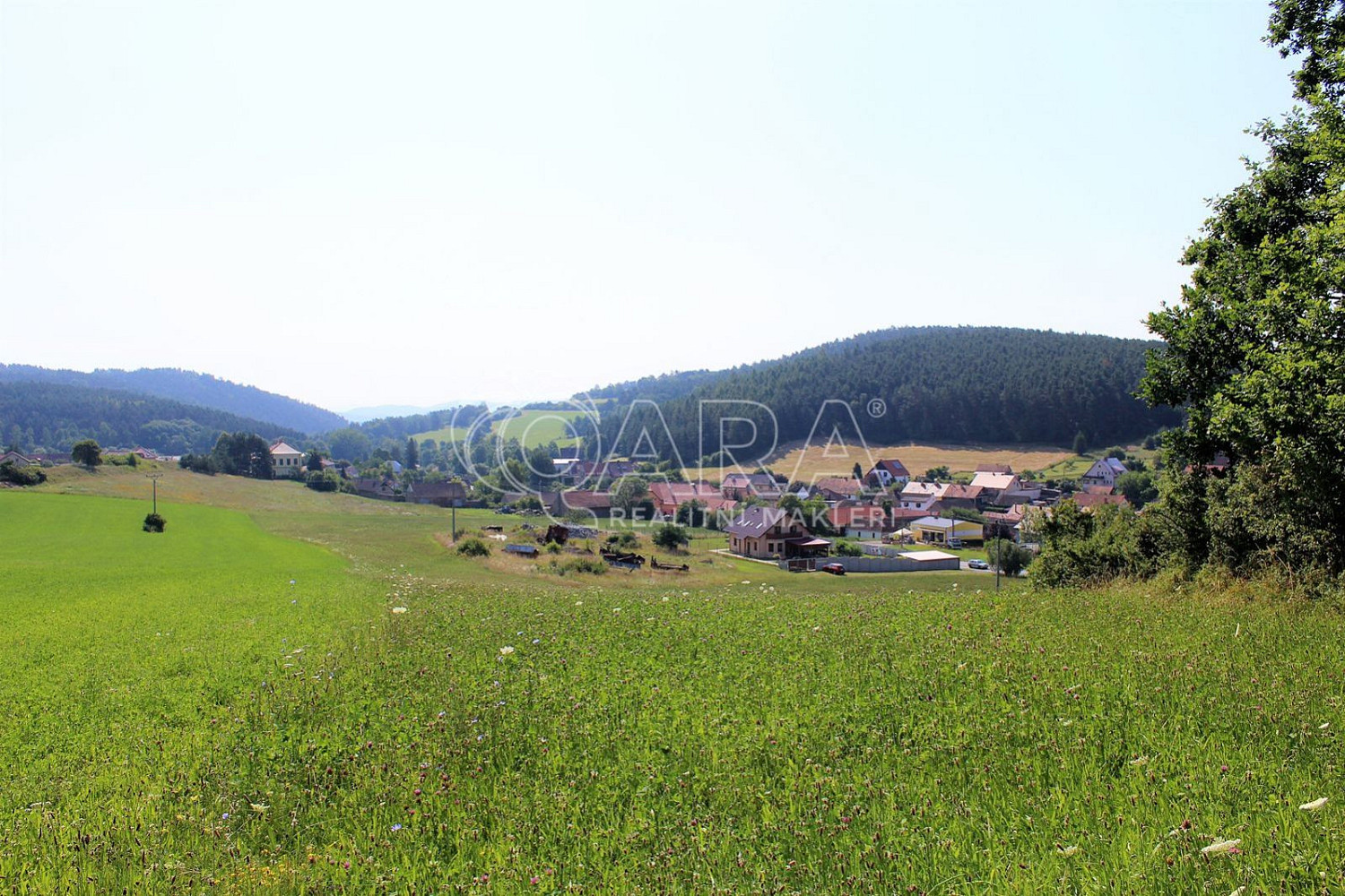 Prodej stavebního pozemku 41 779 m² – fotografie 5