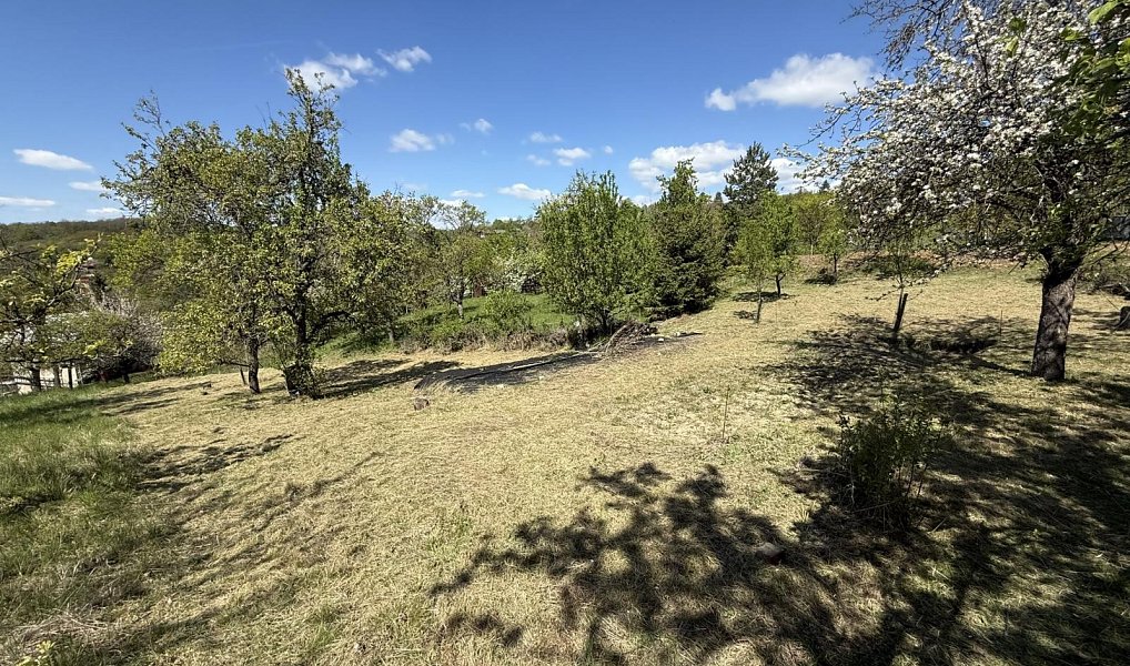 Prodej zahrady 539 m², Slavkov u Brna – náhled fotky 4