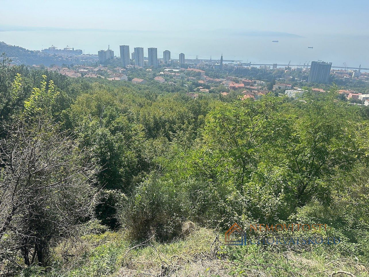 Prodej stavebního pozemku 4 000 m² - Widok 5