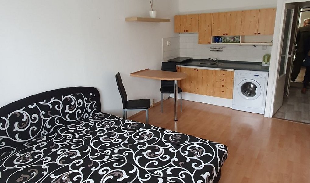 Prodej bytu 1+kk 30 m², Brno – náhled fotky 4