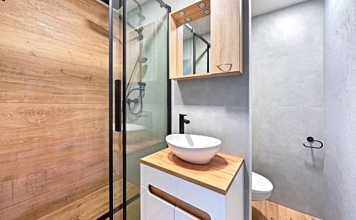 Pronájem bytu 1+kk 23 m², Kamenická, Děčín