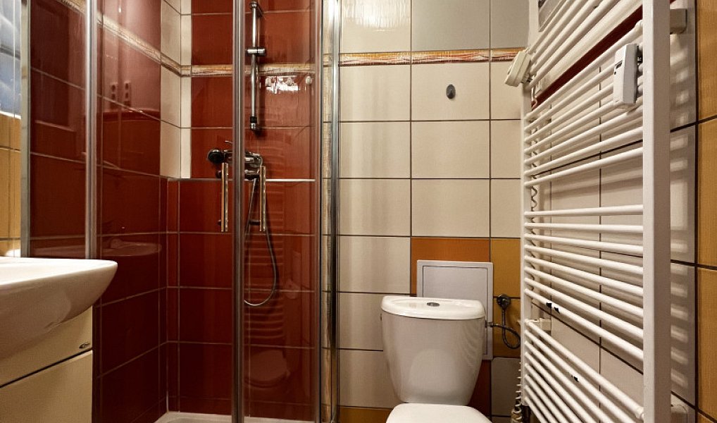Pronájem bytu 1+1 30 m², Plzeň – náhled fotky 4