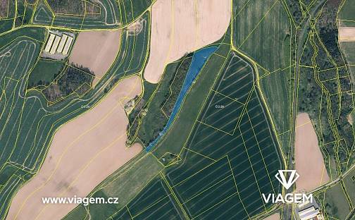 Prodej pole 11 597 m²